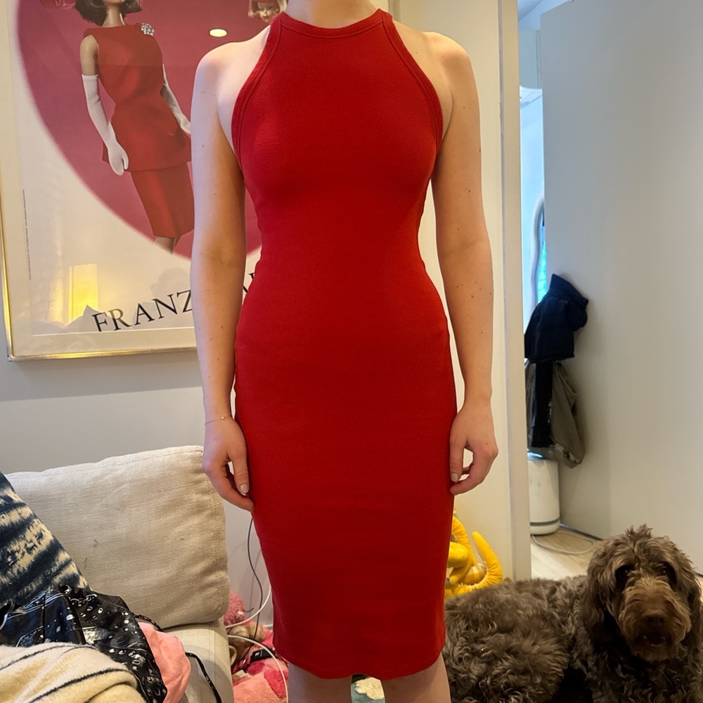 Red Sleeveless Bodycon Dress
